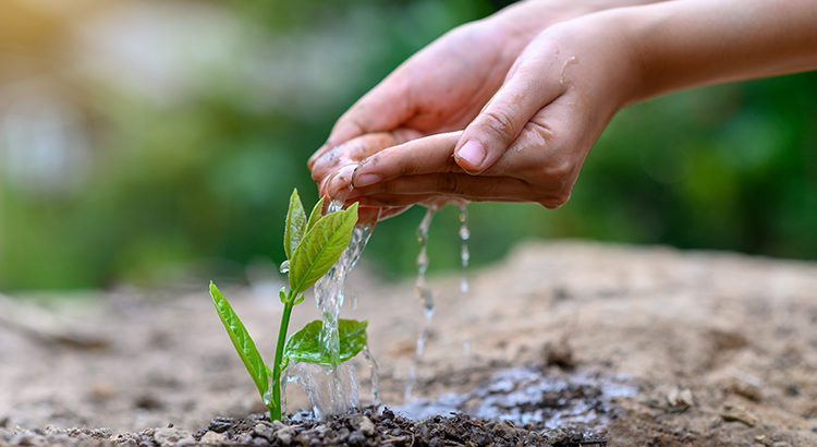 Guidance and Support Are Key When Buying Your First Home | Keeping Current Matters
