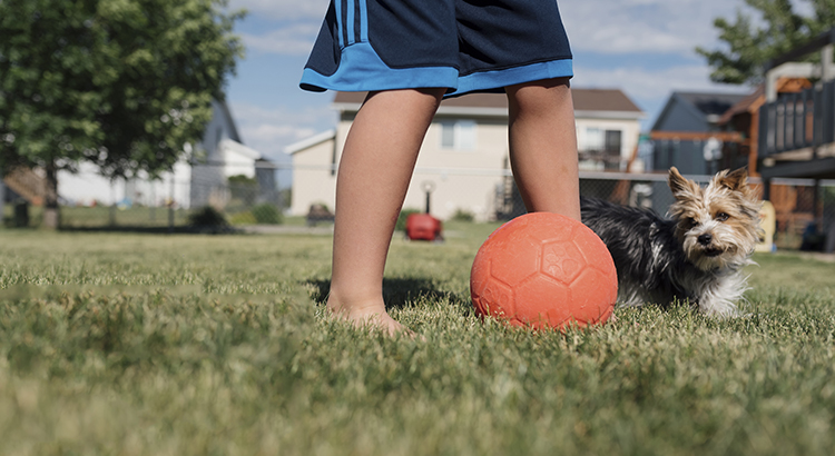 Two New Surveys Indicate Urban to Suburban Lean | Keeping Current Matters