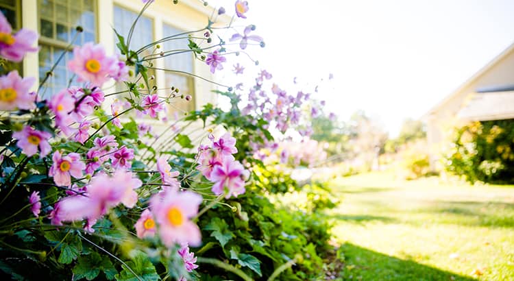 Will the Housing Market Bloom This Spring? | Keeping Current Matters