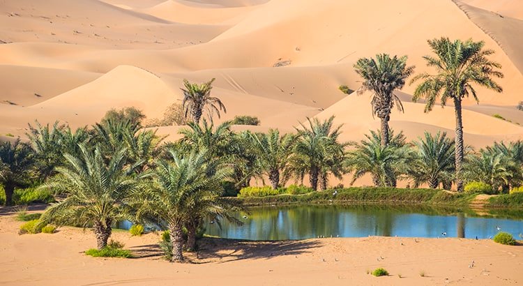 Your House Could Be the Oasis in an Inventory Desert | Keeping Current Matters